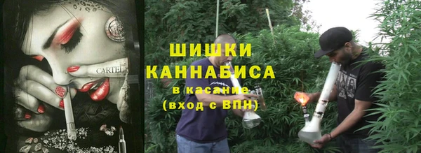 гидропоника Ельня